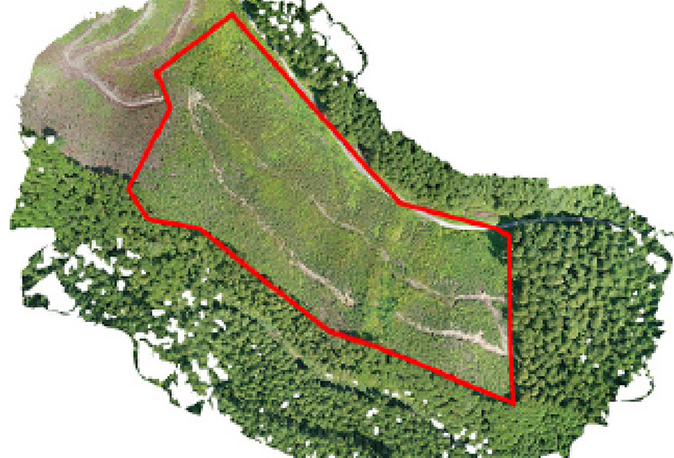 リモートセンシング技術の活用