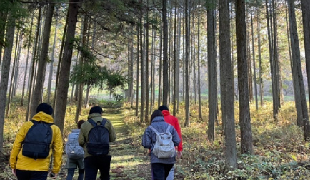 森林セラピーウォーク