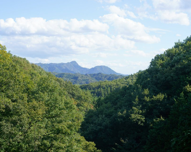 長福山(女体山)