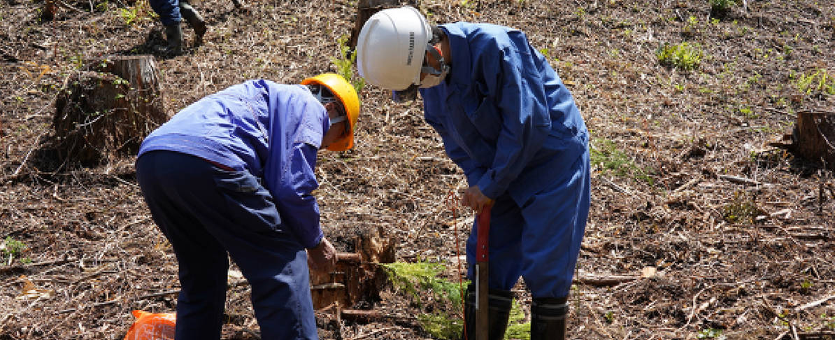 森林整備体験