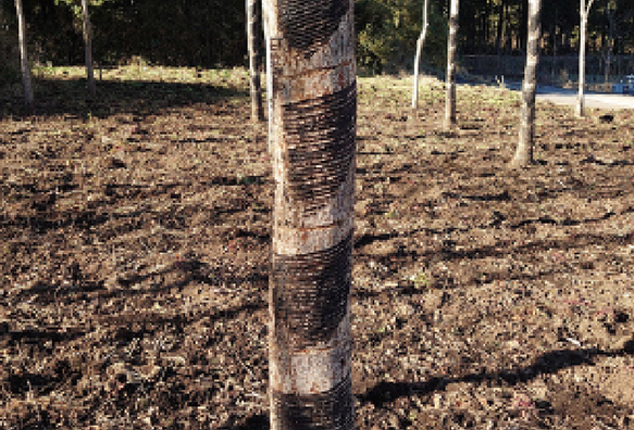 大子漆の見学・体験