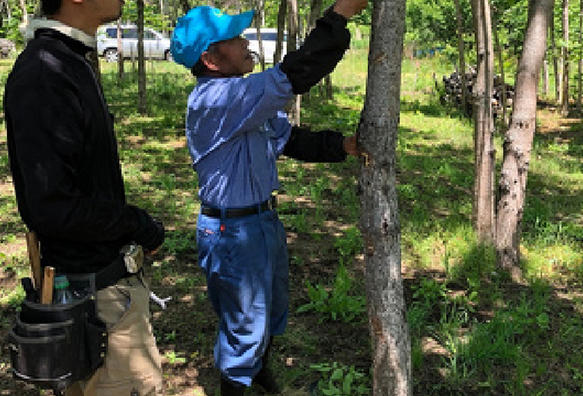 大子漆の見学・体験